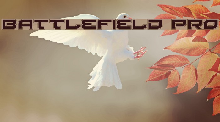 Battlefield Pro Font examples