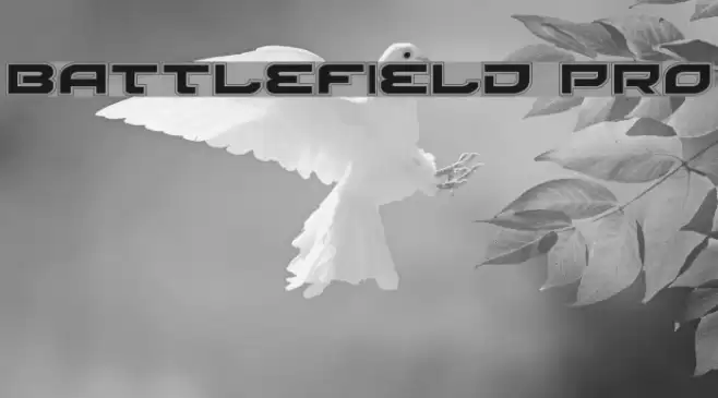 Battlefield Pro Font examples