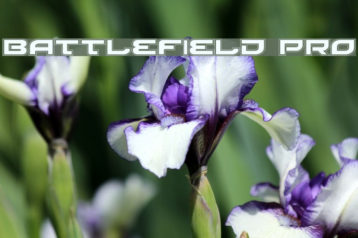 Battlefield Pro Font examples