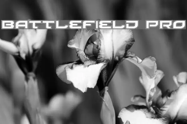 Battlefield Pro Font examples