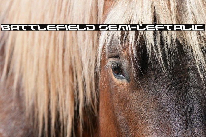 Battlefield Semi-Leftalic Example 2