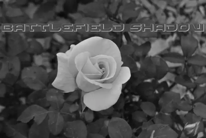 Battlefield Shadow Font examples