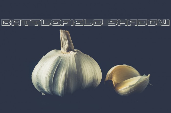 Battlefield Shadow Font examples