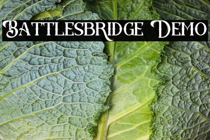 Battlesbridge Demo Example 2