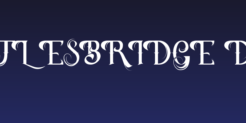 Battlesbridge Demo Social Header