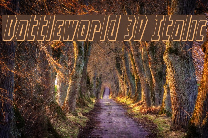 Battleworld 3D Italic Font examples