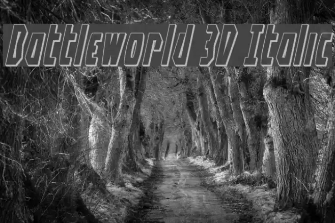 Battleworld 3D Italic examples