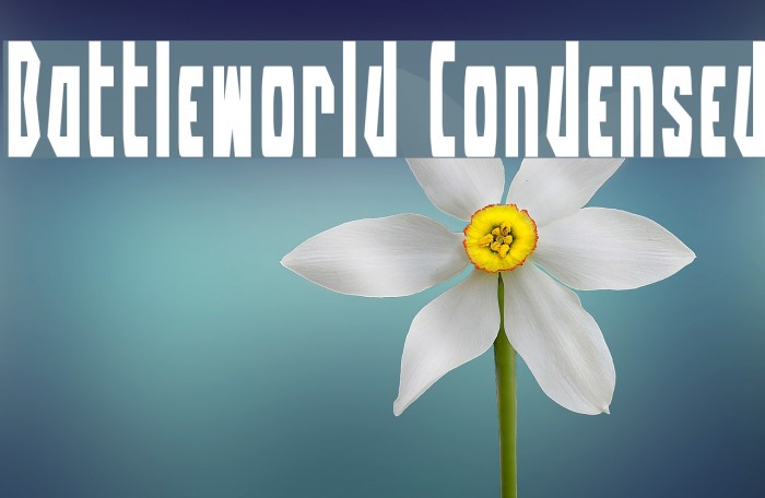 Battleworld Condensed Example 2