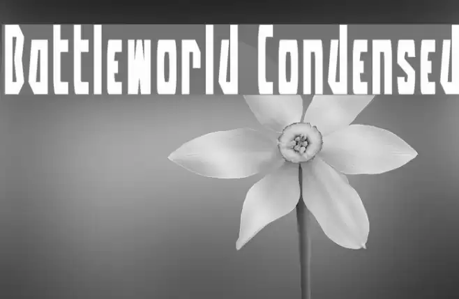 Battleworld Condensed Font examples