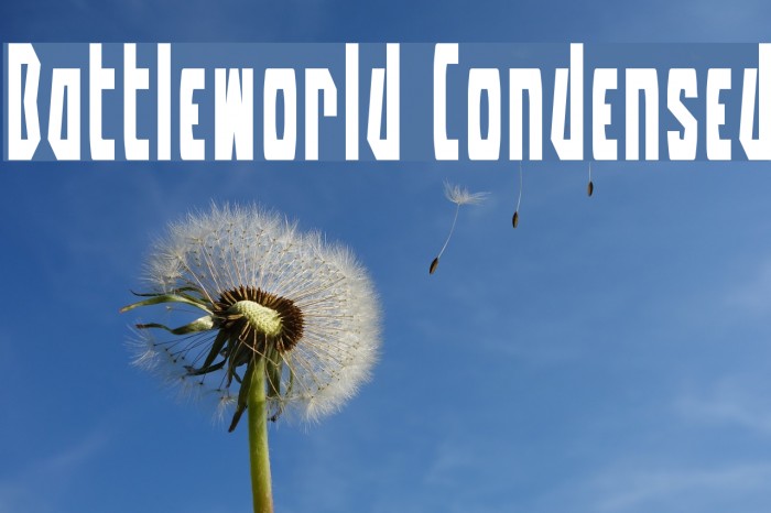 Battleworld Condensed Example 3