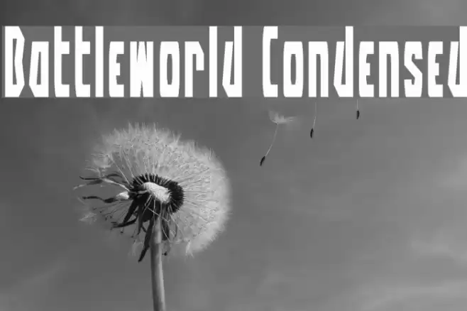 Battleworld Condensed Font examples