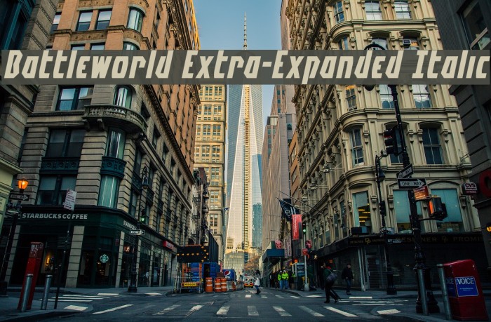Battleworld Extra-Expanded Italic Font examples