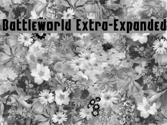 Battleworld Extra-Expanded Font examples