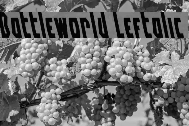 Battleworld Leftalic Font examples