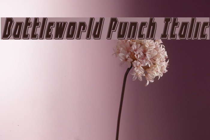 Battleworld Punch Italic Font examples