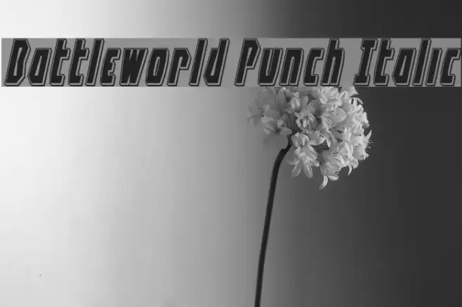 Battleworld Punch Italic Font examples