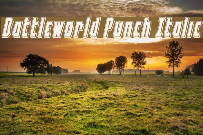 Battleworld Punch Italic Font examples