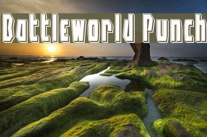 Battleworld Punch Font examples