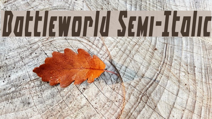 Battleworld Semi-Italic Example 2