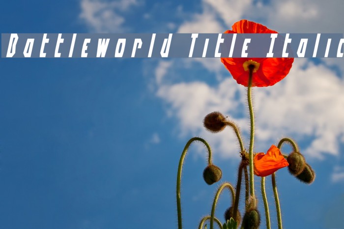 Battleworld Title Italic Example 2