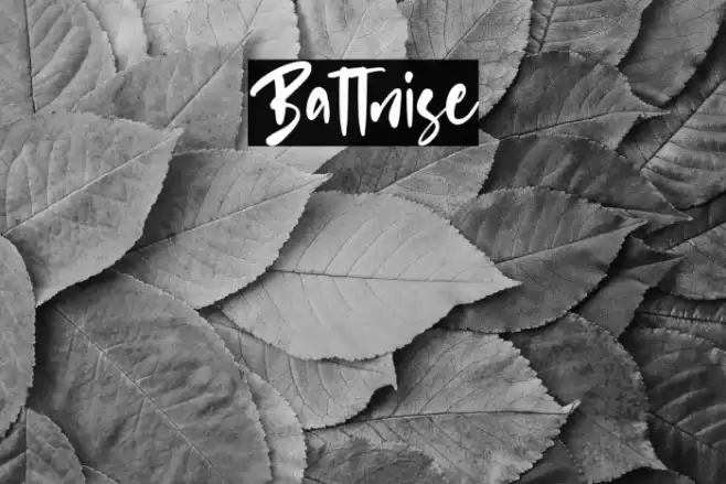 Battnise Font examples