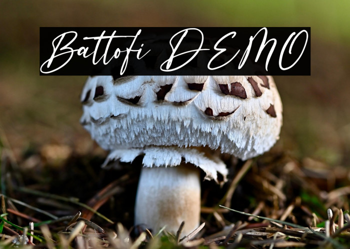 Battofi DEMO Example 2