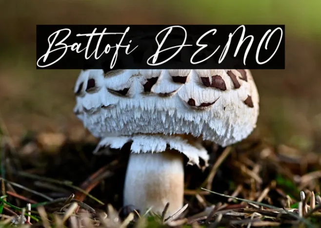 Battofi DEMO Example 2