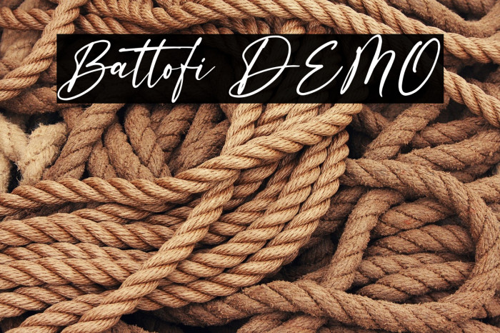 Battofi DEMO Example 3