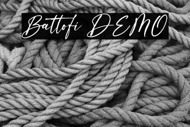 Battofi DEMO Example 3