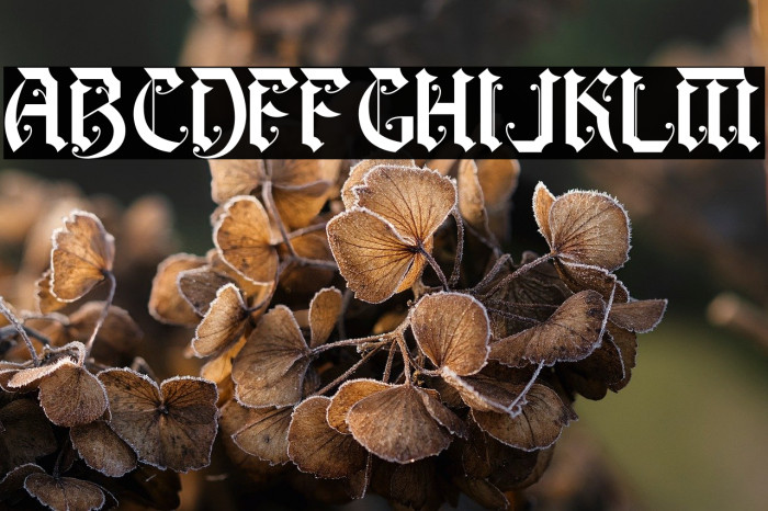 Battom Glory Example 1