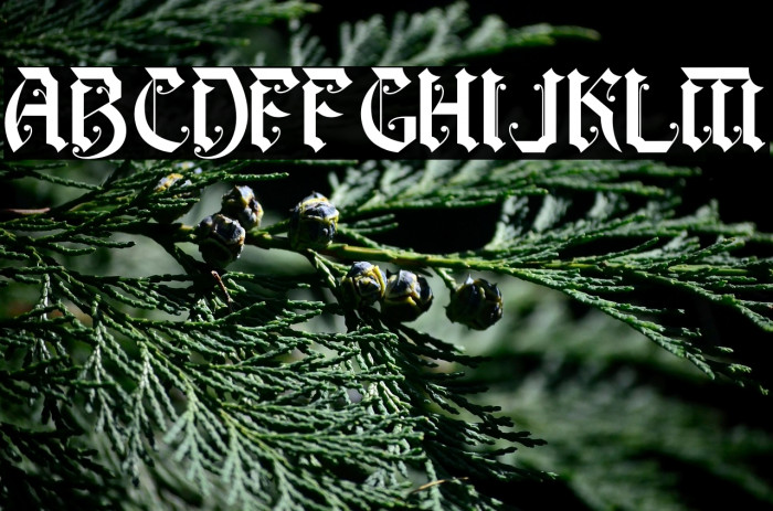 Battom Glory Example 3