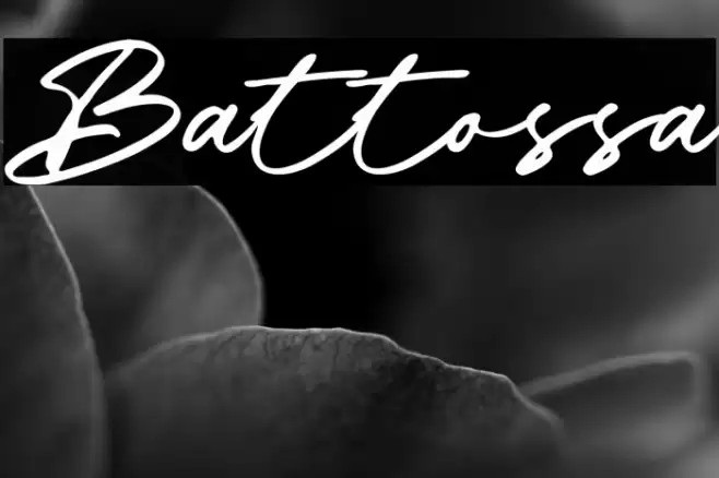 Battossa Font examples