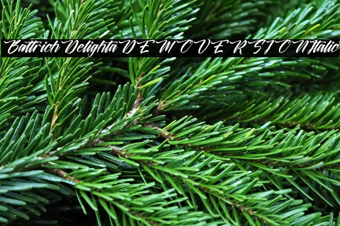 Battrich Delighta DEMO VERSION Italic Example 1