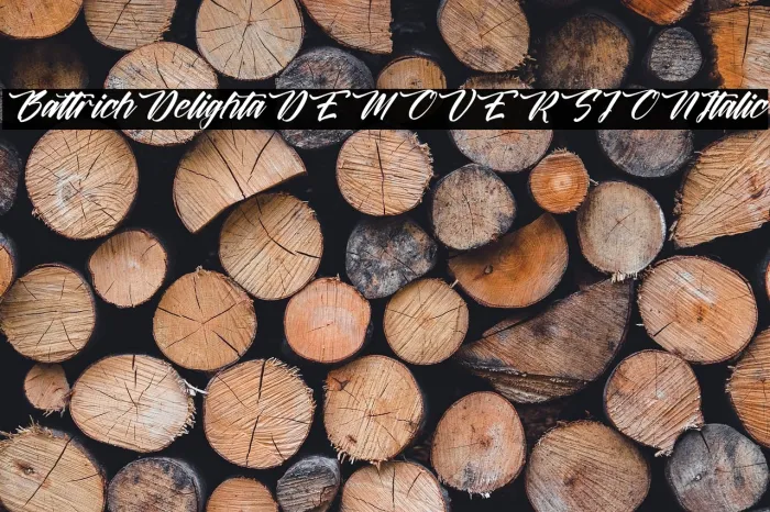 Battrich Delighta DEMO VERSION Italic Example 3