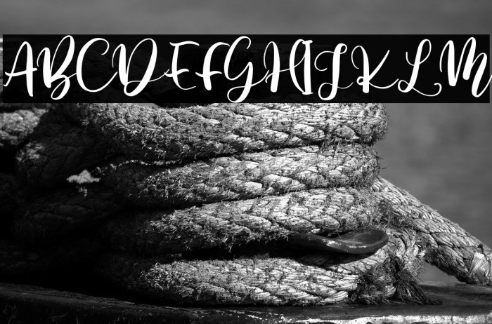 Battshion Regular Example 1