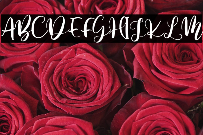 Battshion Regular Example 2