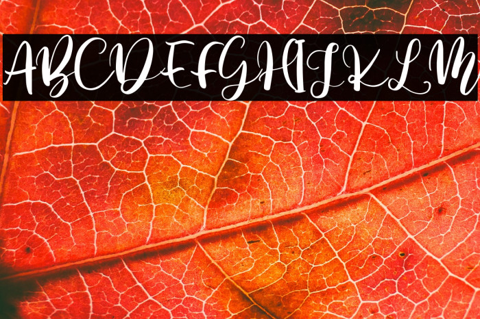 Battshion Regular Example 3