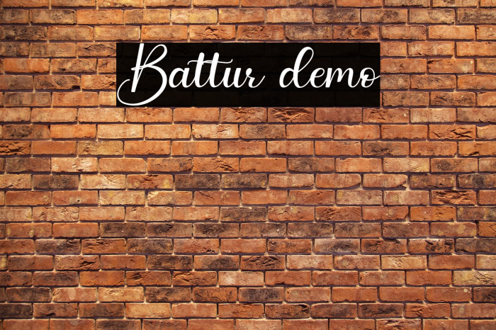 Battur demo Example 1