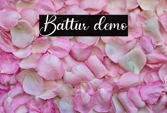 Battur demo Example 2