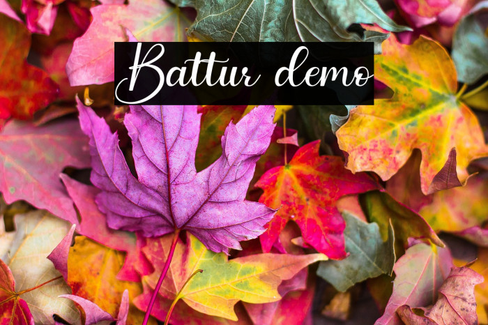 Battur demo Example 3