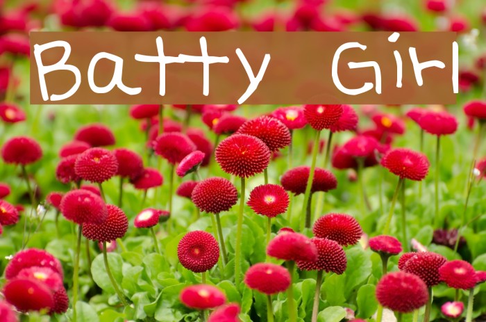 Batty Girl Font examples