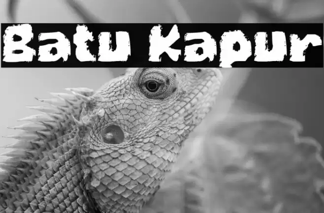 Batu Kapur Font examples