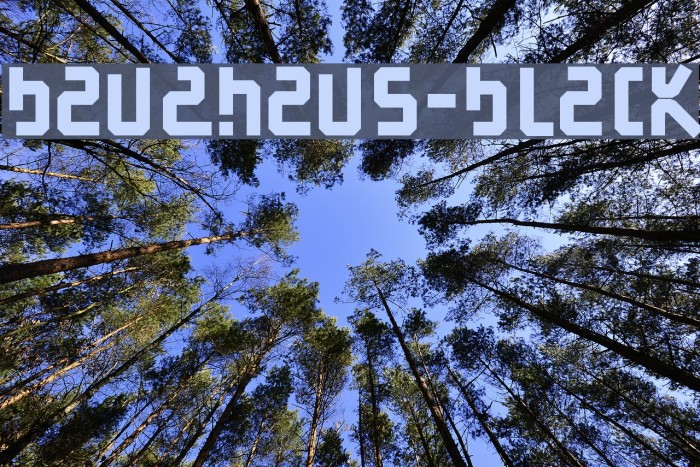 BauAHaus-Black Font examples