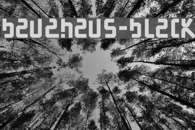 BauAHaus-Black Example 2