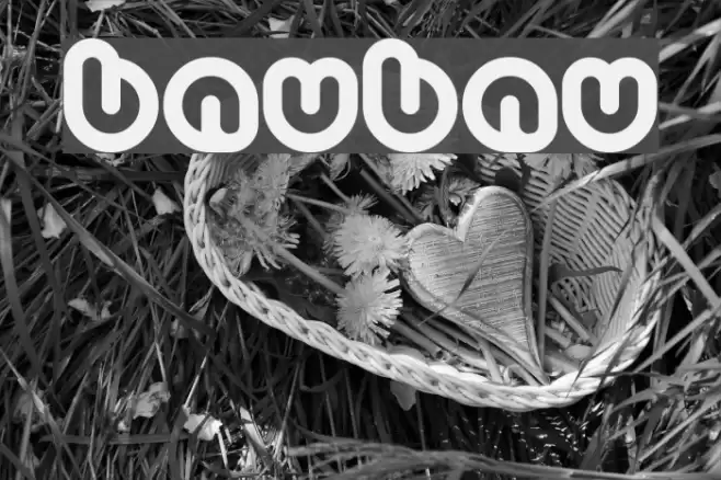 Baubau Font examples