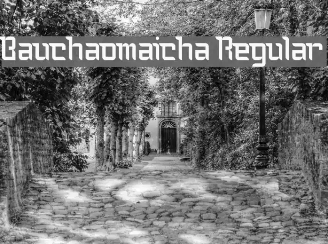 Bauchaomaicha Regular Font examples