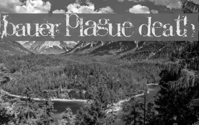 Bauer PlAGuE dEaTH Font examples