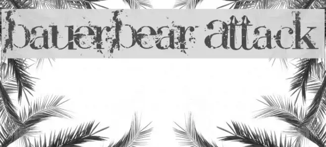 BauerBear Attack Example 1