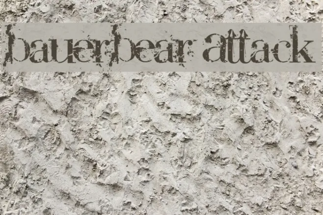 BauerBear Attack Example 2