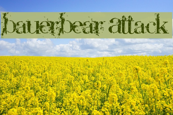 BauerBear Attack Font examples